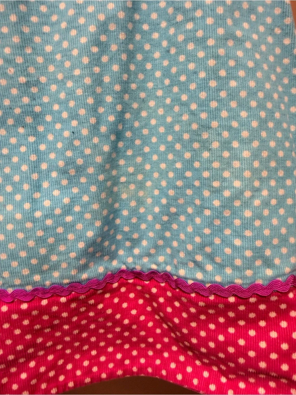 Cactus Blue Polka Dot Girls' Dress with Pink Trim and Bird Embroidery